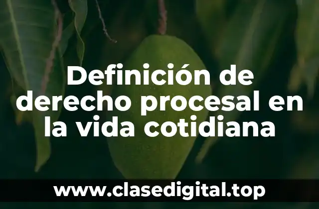 Definición de derecho procesal en la vida cotidiana