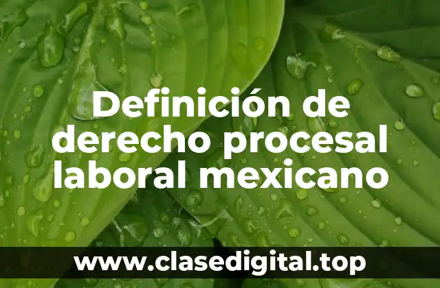 Definición técnica de derecho procesal laboral mexicano