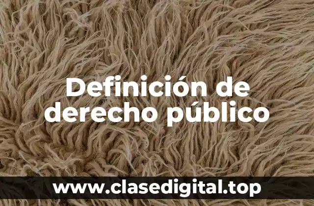 Definición de derecho público