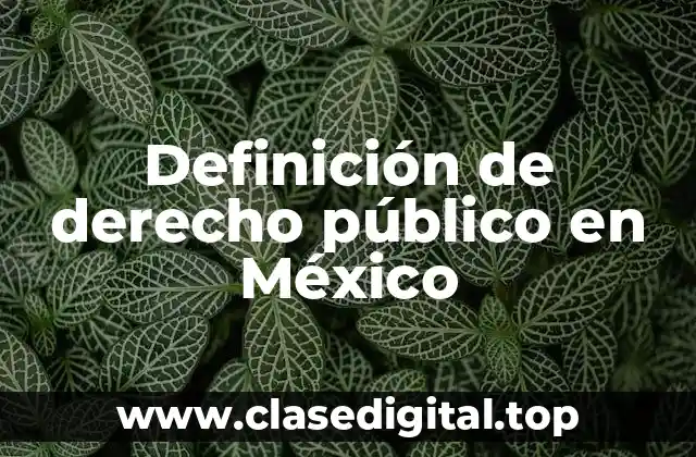 Definición de derecho público en México