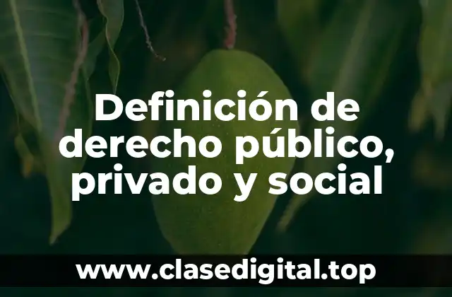 Definición de derecho público, privado y social