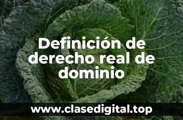 Definición de derecho real de dominio