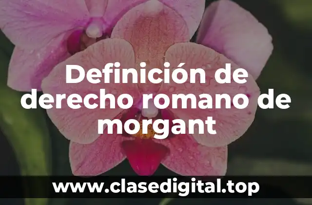 Definición de derecho romano de morgant