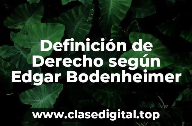Definición técnica de Derecho