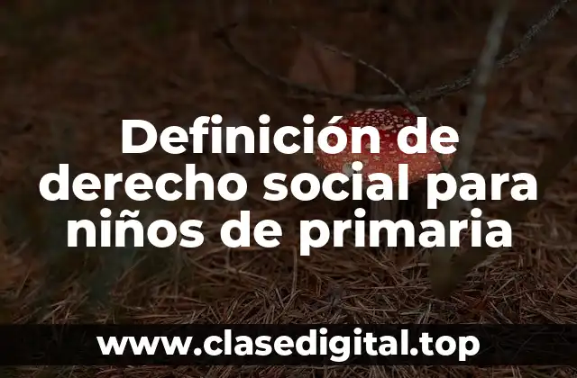 Definición de derecho social para niños de primaria