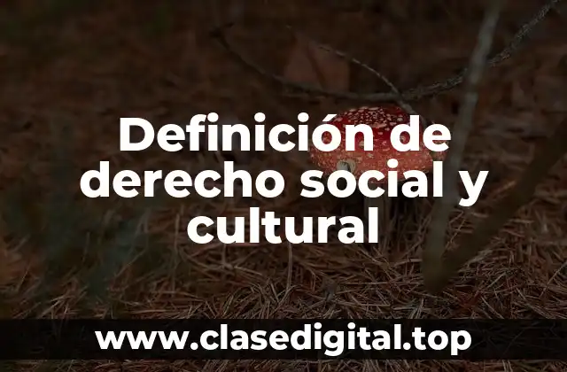 Definición de derecho social y cultural