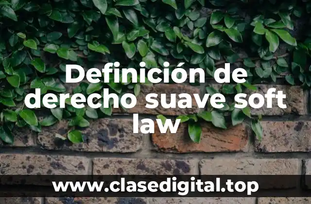 Definición de derecho suave soft law