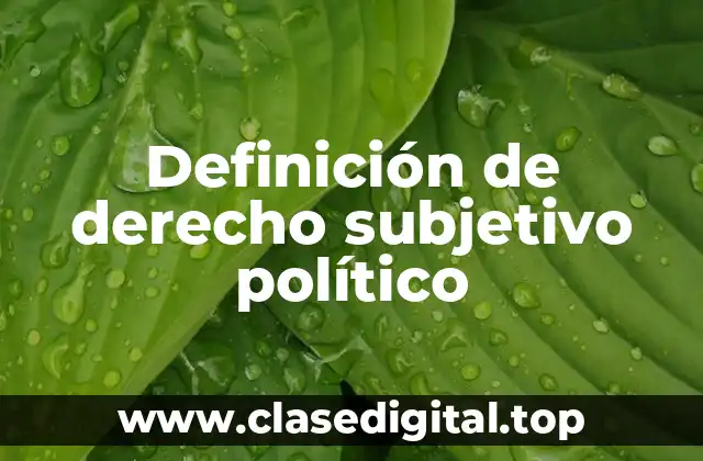 Ejemplos de derecho subjetivo político