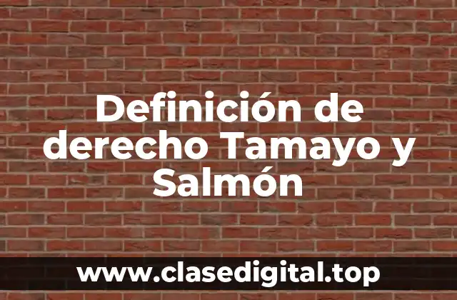 Definición de derecho Tamayo y Salmón