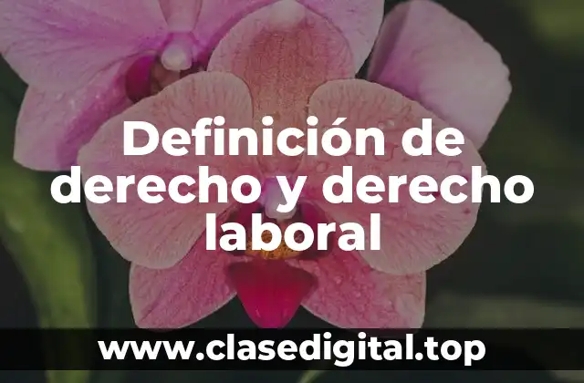Definición de derecho y derecho laboral