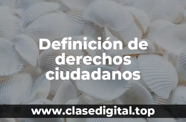 Definición técnica de derechos ciudadanos