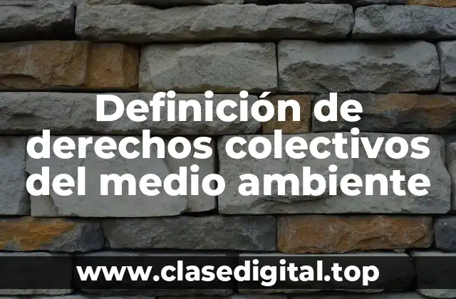 Definición de derechos colectivos del medio ambiente
