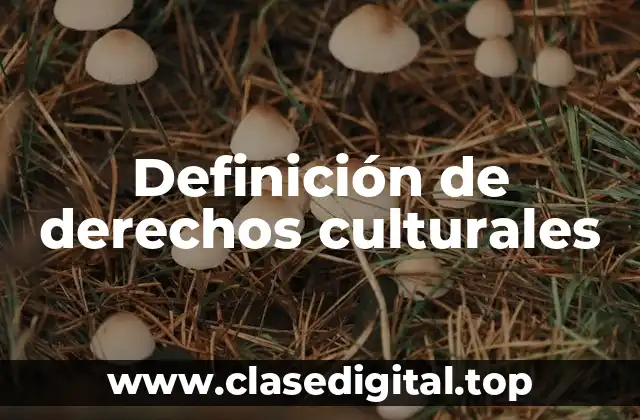 Definición de derechos culturales