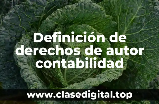 Definición de derechos de autor contabilidad