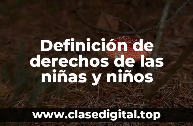 Definición de derechos de las niñas y niños