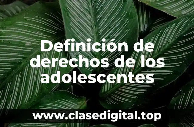 Definición técnica de derechos de los adolescentes