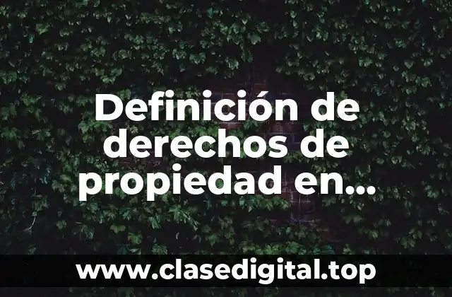 Definición de derechos de propiedad en economía