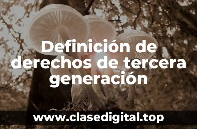 Ejemplos de derechos de tercera generación