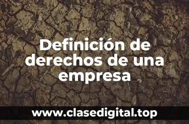 Definición de derechos de una empresa