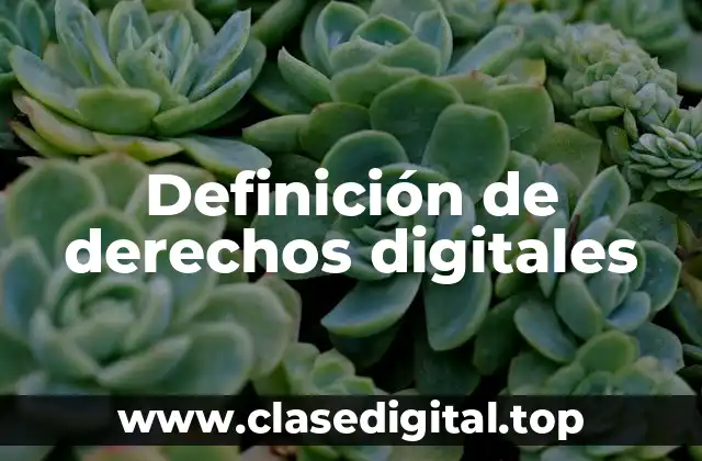 Definición de derechos digitales