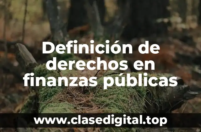 Definición de derechos en finanzas públicas