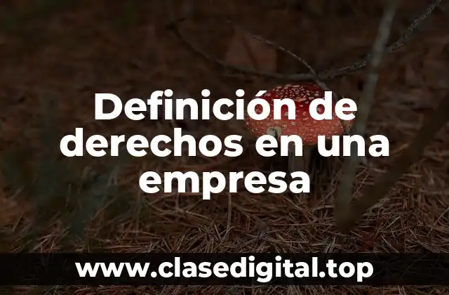 Definición de derechos en una empresa