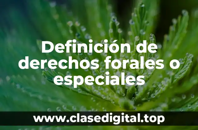 Definición de derechos forales o especiales