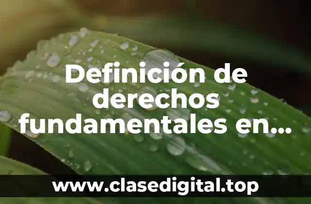 Definición de derechos fundamentales en Chile