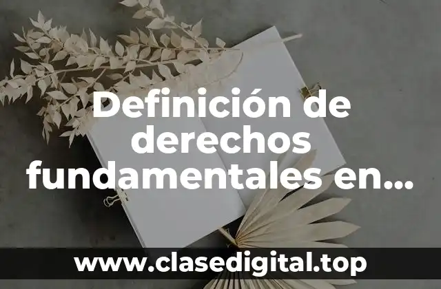 Definición de derechos fundamentales en derecho