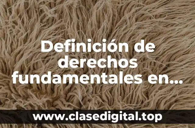 Definición de derechos fundamentales en Ecuador