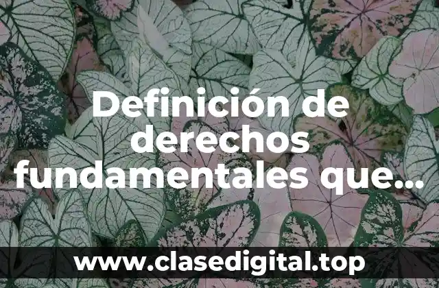 Ejemplos de derechos fundamentales que no sean derechos humanos