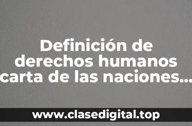 Definición de derechos humanos carta de las naciones unidas