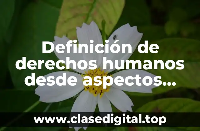 Definición de derechos humanos desde aspectos legales