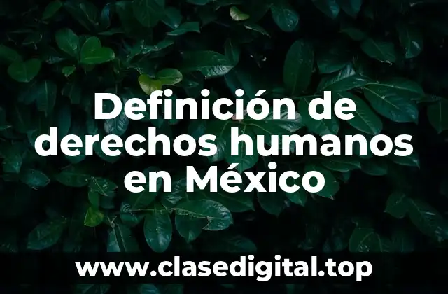 Definición técnica de derechos humanos