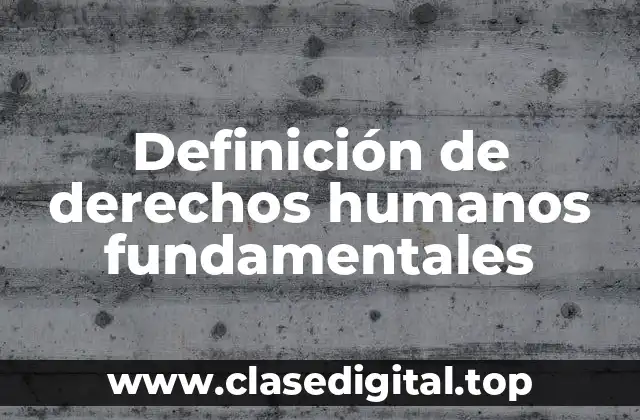Definición de derechos humanos fundamentales