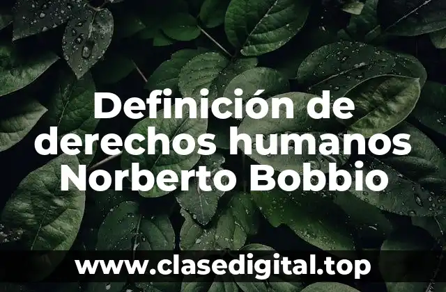 Definición de derechos humanos Norberto Bobbio
