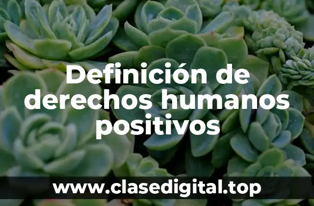 Definición de derechos humanos positivos