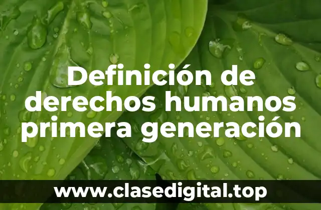 Definición de derechos humanos primera generación