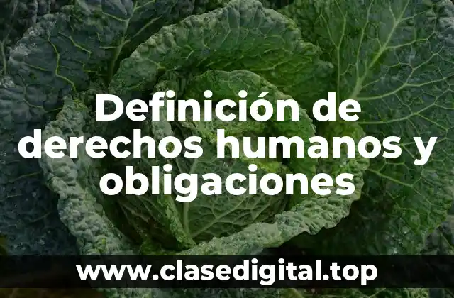 Definición de derechos humanos y obligaciones