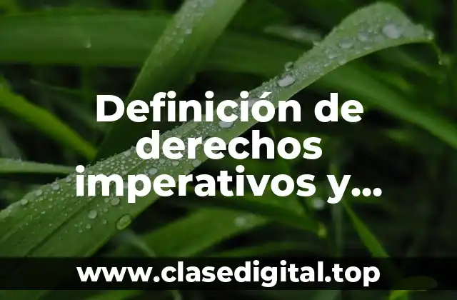 Definición de derechos imperativos y programáticos