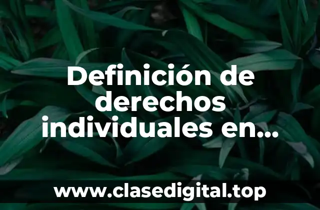 Definición de derechos individuales en Panamá