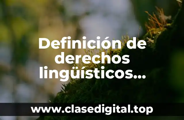 Definición de derechos lingüísticos individuales