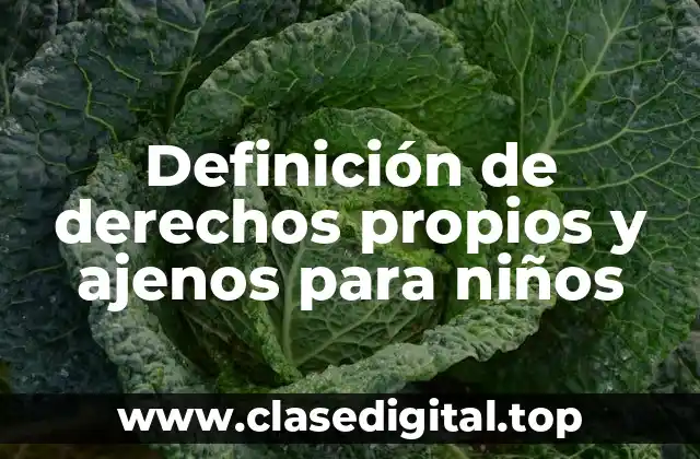 Definición de derechos propios y ajenos para niños
