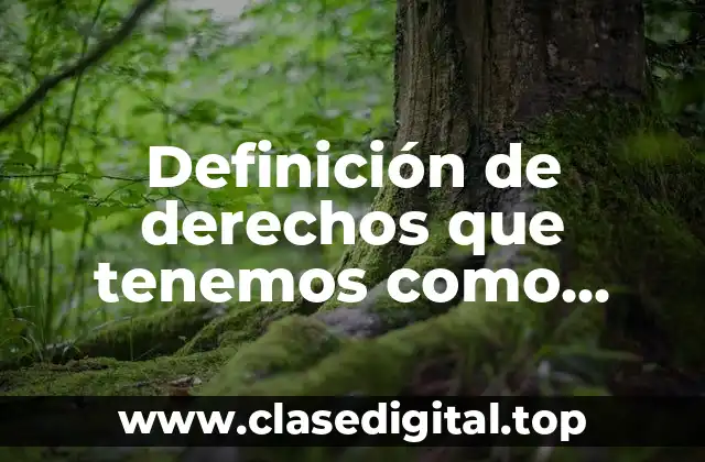 Definición de derechos que tenemos como individuos dignos