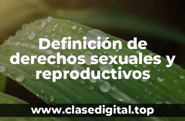 Definición de derechos sexuales y reproductivos