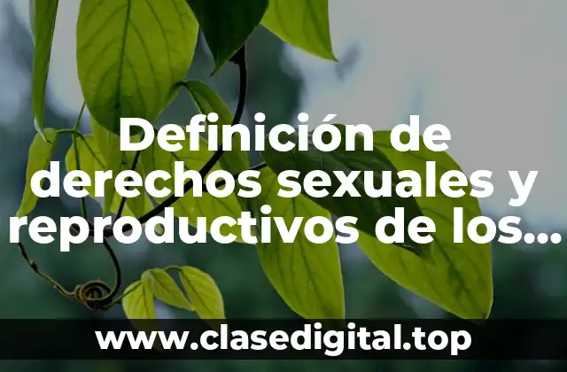 Definición de derechos sexuales y reproductivos de los jóvenes