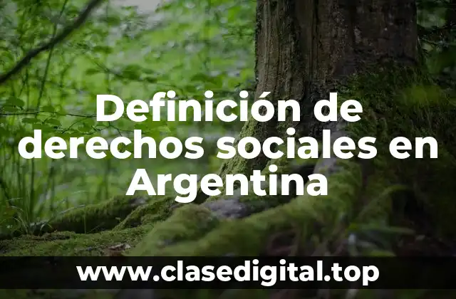 Definición de derechos sociales en Argentina