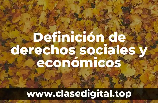 Definición de derechos sociales y económicos