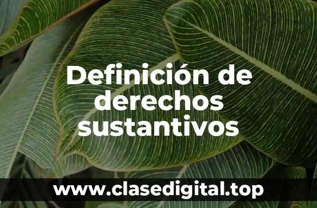Definición de derechos sustantivos