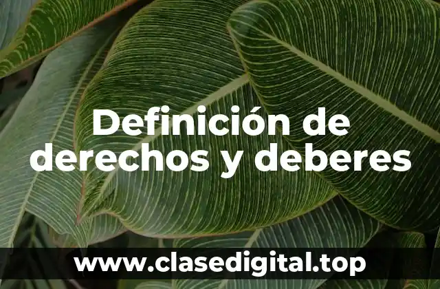 Definición de derechos y deberes
